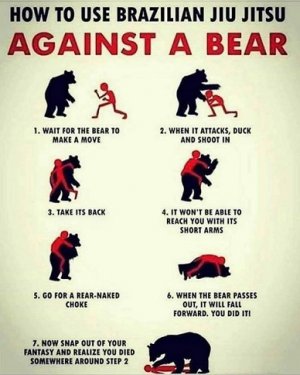 bear defense.jpg