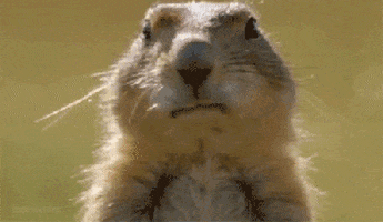 200.gif
