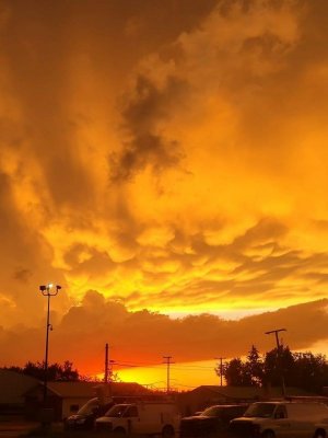 3891D10D-C027-450E-81A0-D150C6D35AC6.jpeg