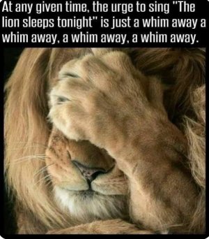 lion.JPG