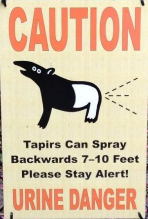 tapir.JPG