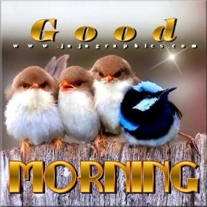 166841-1429155985_Good-Morning[1].jpg