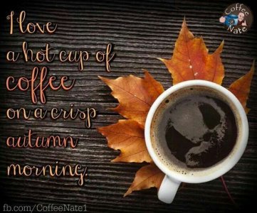 6abf769f0a192a166b53d71ef9aaf694--cup-of-coffee-morning-coffee.jpg