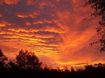 100_0643.JPG