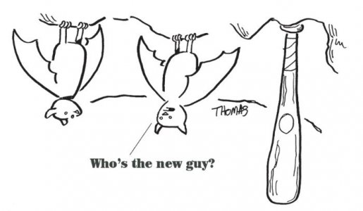 bat2.JPG