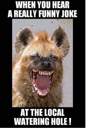 hyena.JPG