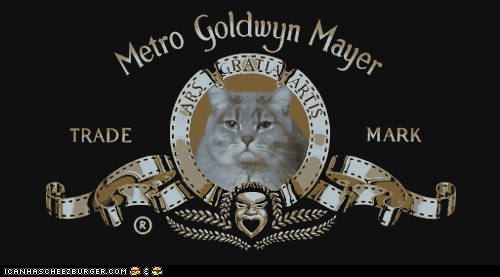goodnight.gif