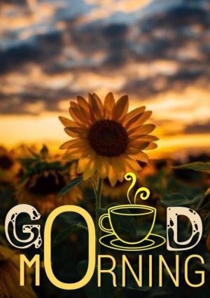 68e583ee6b647011bd67f6d9323a8077[1].jpg