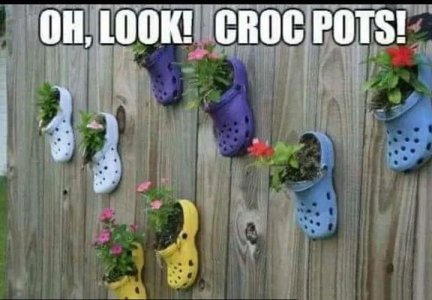0A86E8C9-D224-4F1D-9065-CE7AFAC61115.jpeg