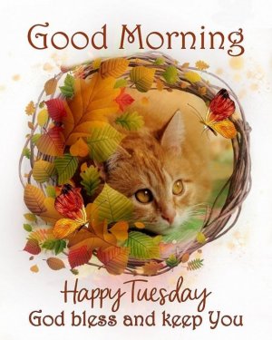 424680-Fall-Cat-Wreath-Good-Morning-Happy-Tuesday.jpg