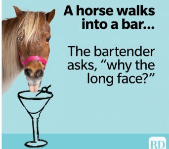 horse.JPG