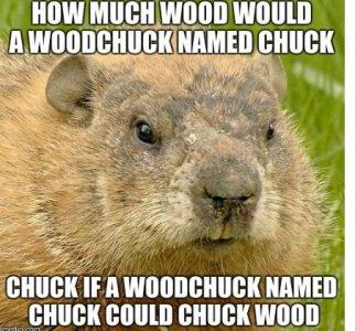 wood.JPG