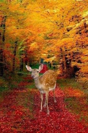 FB_IMG_1666738840078.jpg