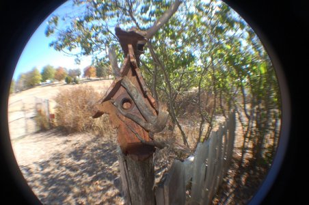 DSC_0774.jpg