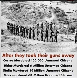 guns.jpg