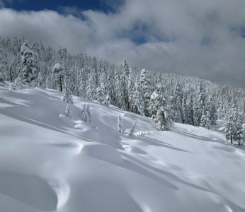 aa_0093w.jpg