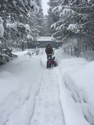 snow blowing the path.jpg
