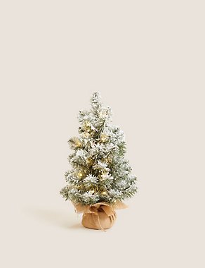MS Christmas tree.jpeg