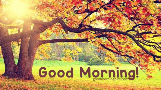 Good-morning-images-autumn.jpg