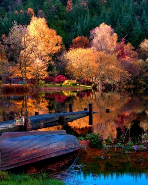 Tumblr_l_48798329903596.jpg