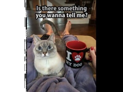 649EB694-5A06-4889-8ECF-9CD0754B04C9.jpeg