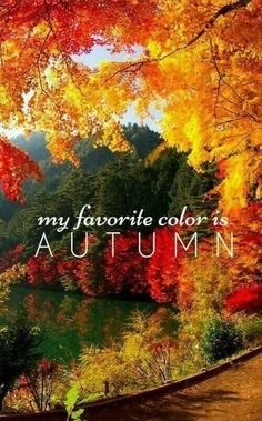 Autumn.jpg