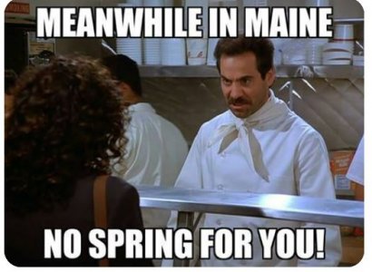 maine.JPG