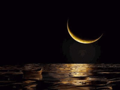 6B1373CE-CA4E-4611-B2F6-502D10E4B42A.gif