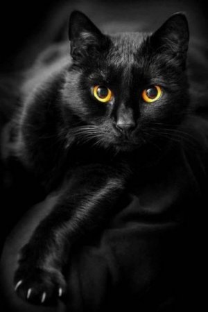 D90BD799-7B93-4362-A79F-0CA06C1BDC13.jpeg