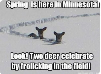 minn.JPG