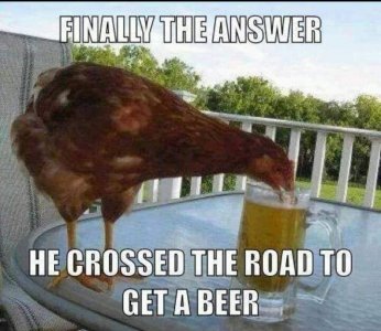 FB_IMG_1666738916356.jpg