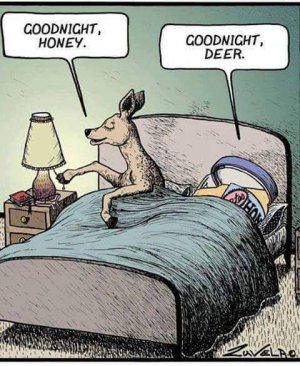 FB_IMG_1666716509512.jpg