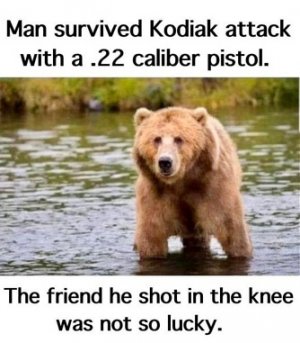 survive.jpg