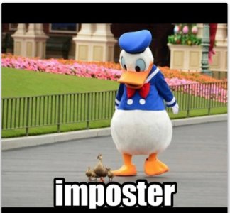 imposter.jpg