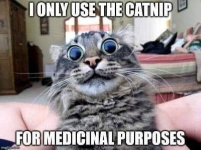 FB_IMG_1666949284518.jpg