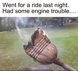 311588655_427760302851371_2170671604336632708_n.jpg