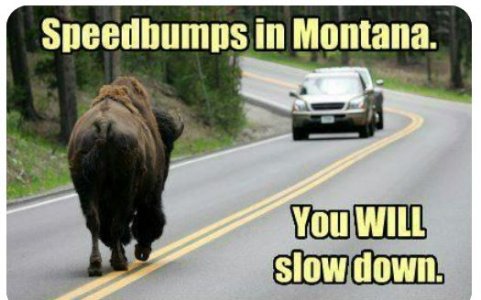 mont.JPG