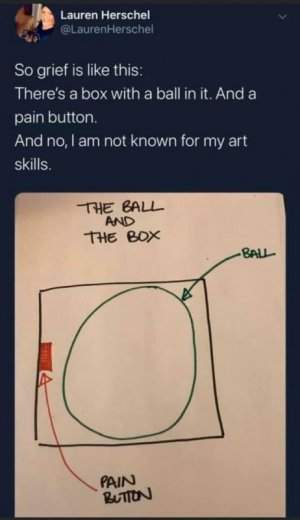 box ball theory of grief 1.jpg