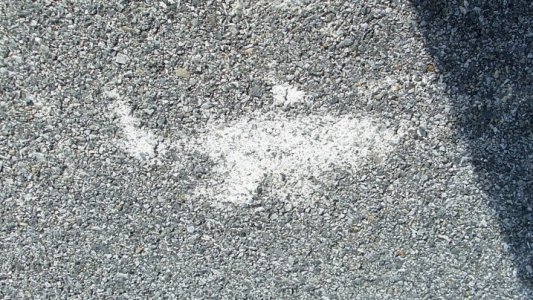 road blot.jpg