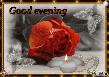 377406-Candle-Lit-Rose-Good-Evening-Gif.gif