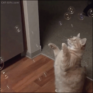 3b389c75cab9a5fe12f43434d7b5fd7a.gif