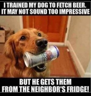 FB_IMG_1666963261214.jpg