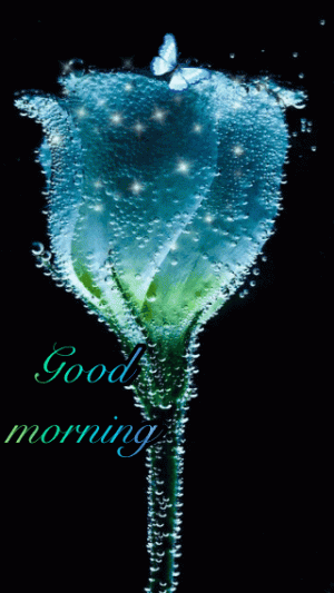 a51cd56984402189401d8f06fdfa5334[1].gif