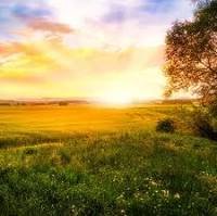 A88D62A3-0E13-493B-816D-D819C82D44C1.jpeg