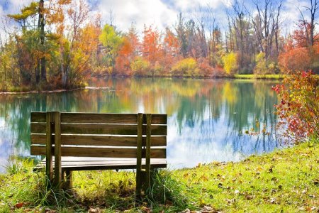 wood-bench-986347__480.jpg