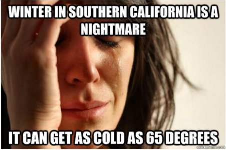 cal.JPG
