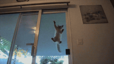 6Qve.gif