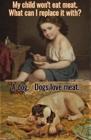 dogmeat.jpg