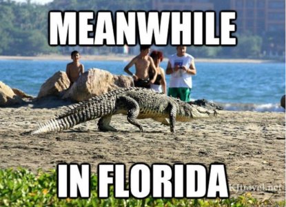 fla.JPG