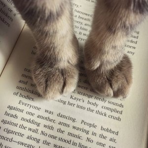 cat time book.jpg